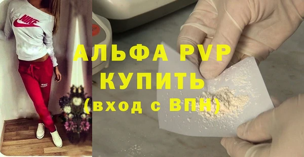 сатива Козловка