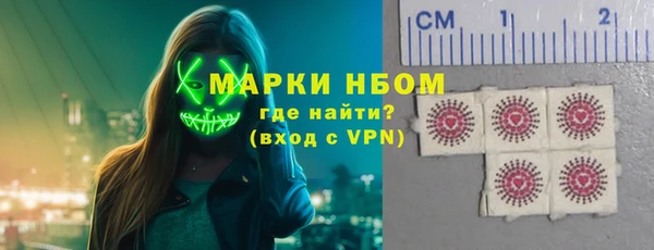 сатива Козловка