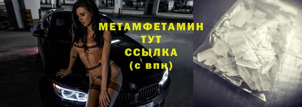 сатива Козловка