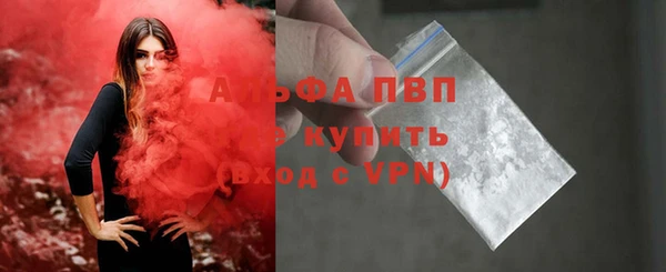 амф Козельск