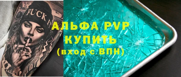 прущие грибы Кодинск