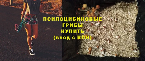 амф Козельск