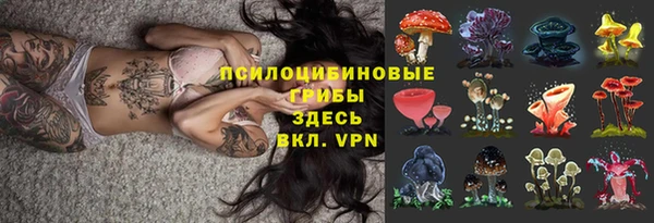 амф Козельск