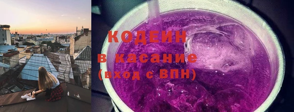 прущие грибы Кодинск