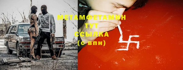 сатива Козловка