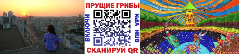 Купить где  Бор  Псилоцибиновые грибы Psilocybe 